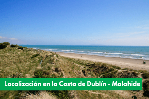 campamentos de verano en dublin