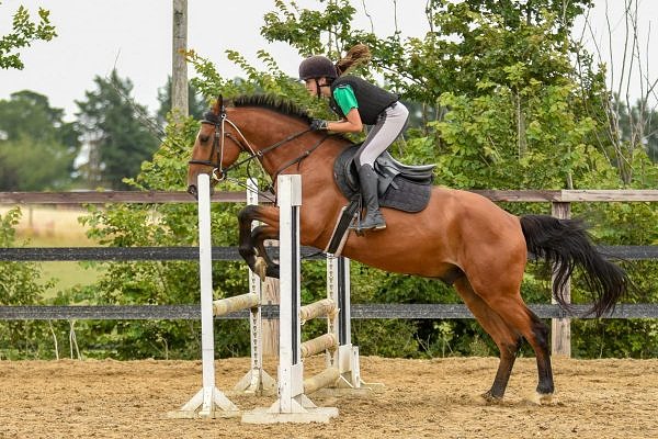 horse-riding-photo-gallery residential summer camps ireland 2021